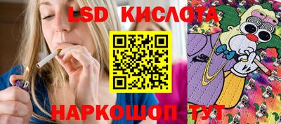 ПСИЛОЦИБИНОВЫЕ ГРИБЫ Кингисепп
