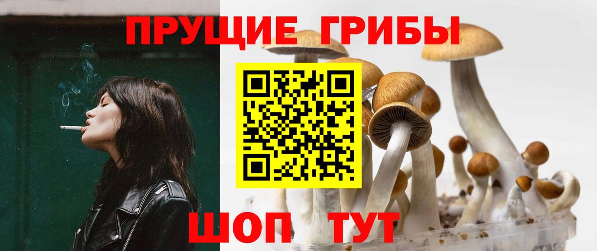 Галлюциногенные грибы мицелий  купить наркотик  Южно-Сахалинск  Вход с VPN 